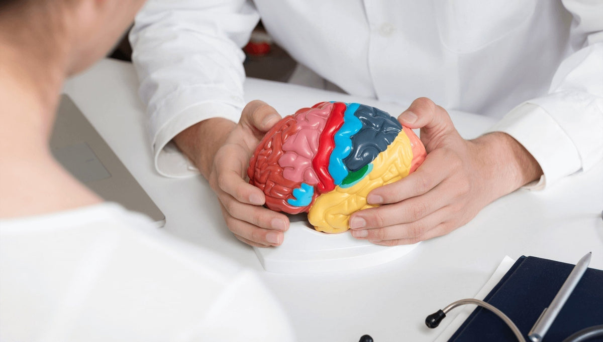 Why Your Hearing Aid Isn’t Enough — What Part of the Brain Controls He