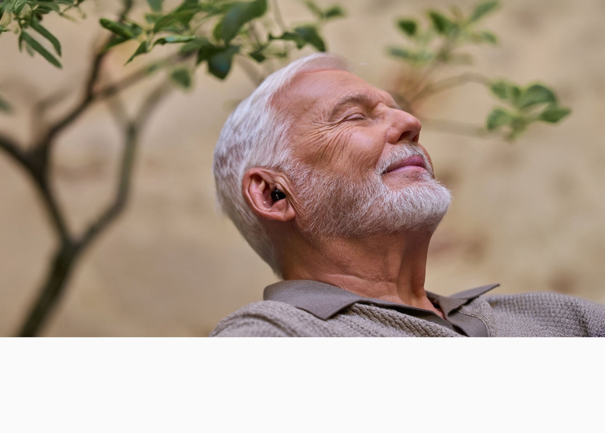 ⭐Cearvol Nano 集音器　（ミッドナイト） Cearvol Nano Small Hearing Aids with UV Clean and One-case Control